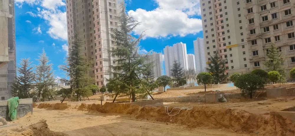 1618562321213827.jpg 1618562321213827.jpg