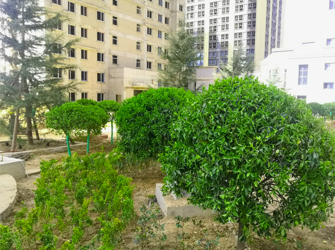 1619148673541533.png 1619148673541533.png