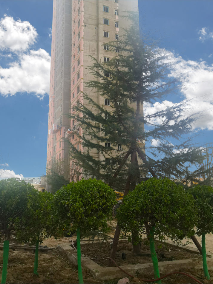 1619148708650076.png 1619148708650076.png