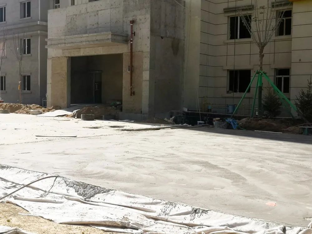 1621409963677951.jpg 1621409963677951.jpg