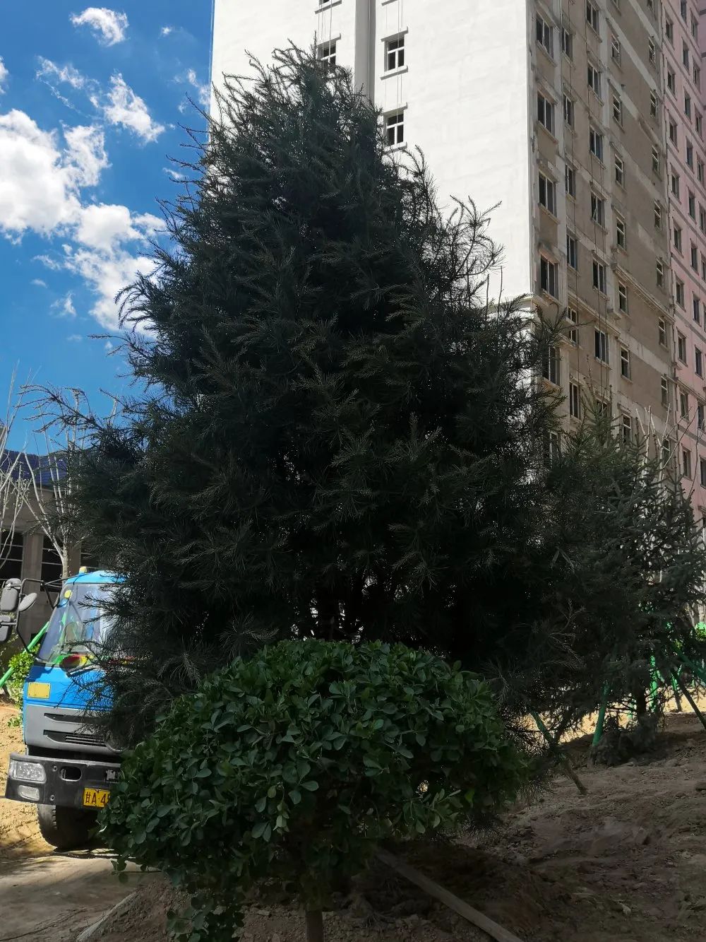 1621410052242923.jpg 1621410052242923.jpg