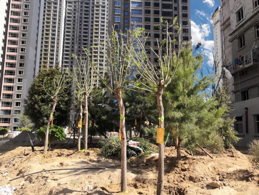 1621410084154166.png 1621410084154166.png