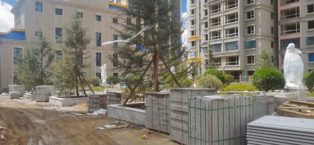 1622014842677397.jpg 1622014842677397.jpg