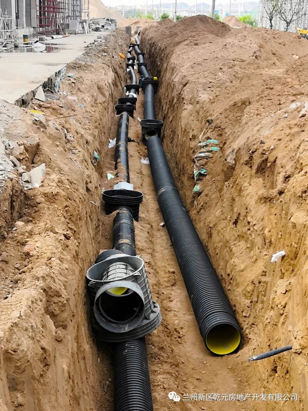 1624347254147034.jpg 1624347254147034.jpg