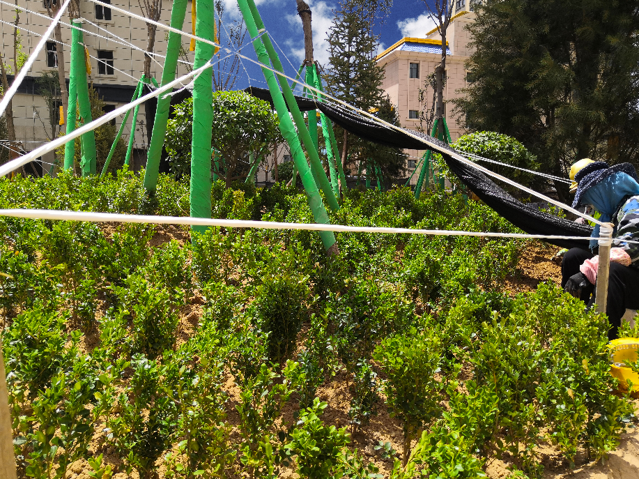 1625210923490126.png 1625210923490126.png