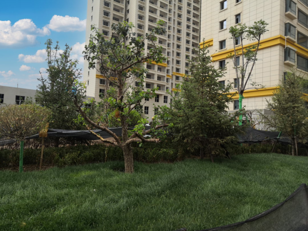 1625555428519690.png 1625555428519690.png