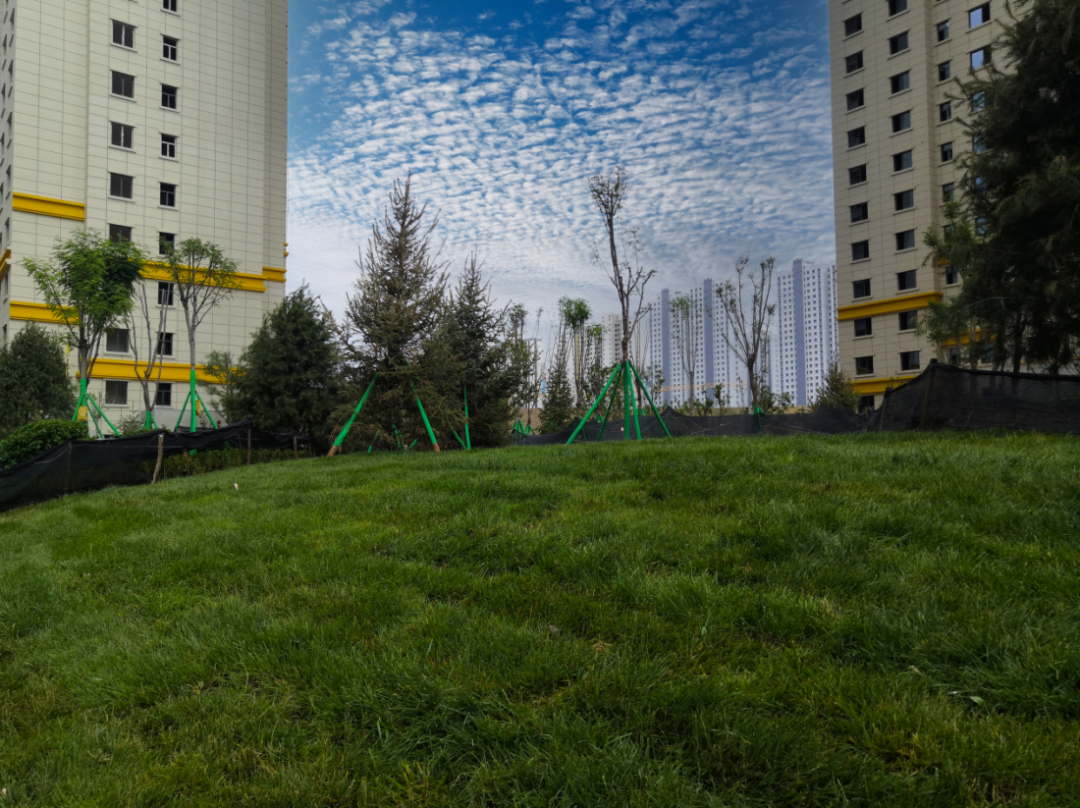 1625555481397959.png 1625555481397959.png