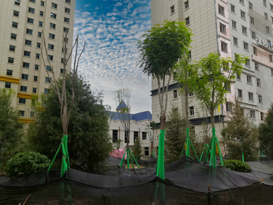 1625555492946933.png 1625555492946933.png