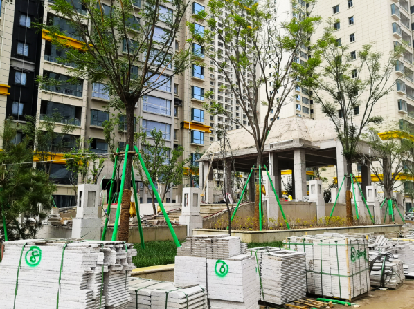 1625555879886031.png 1625555879886031.png