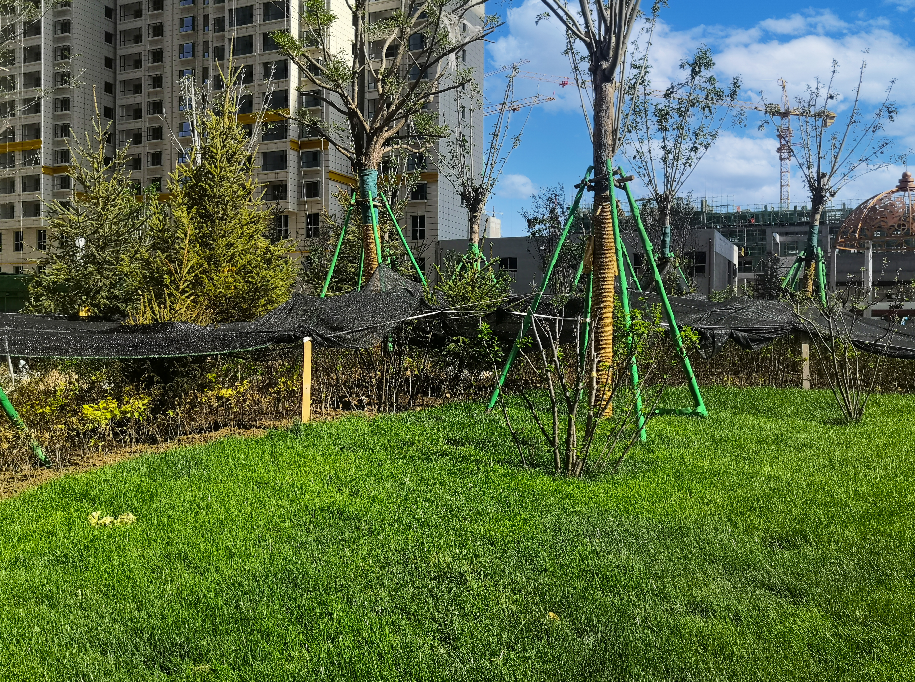 1626162011366365.png 1626162011366365.png