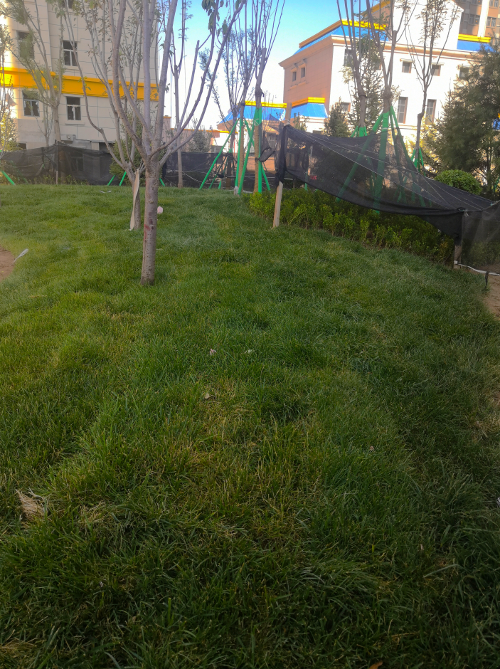 1626162079268227.png 1626162079268227.png