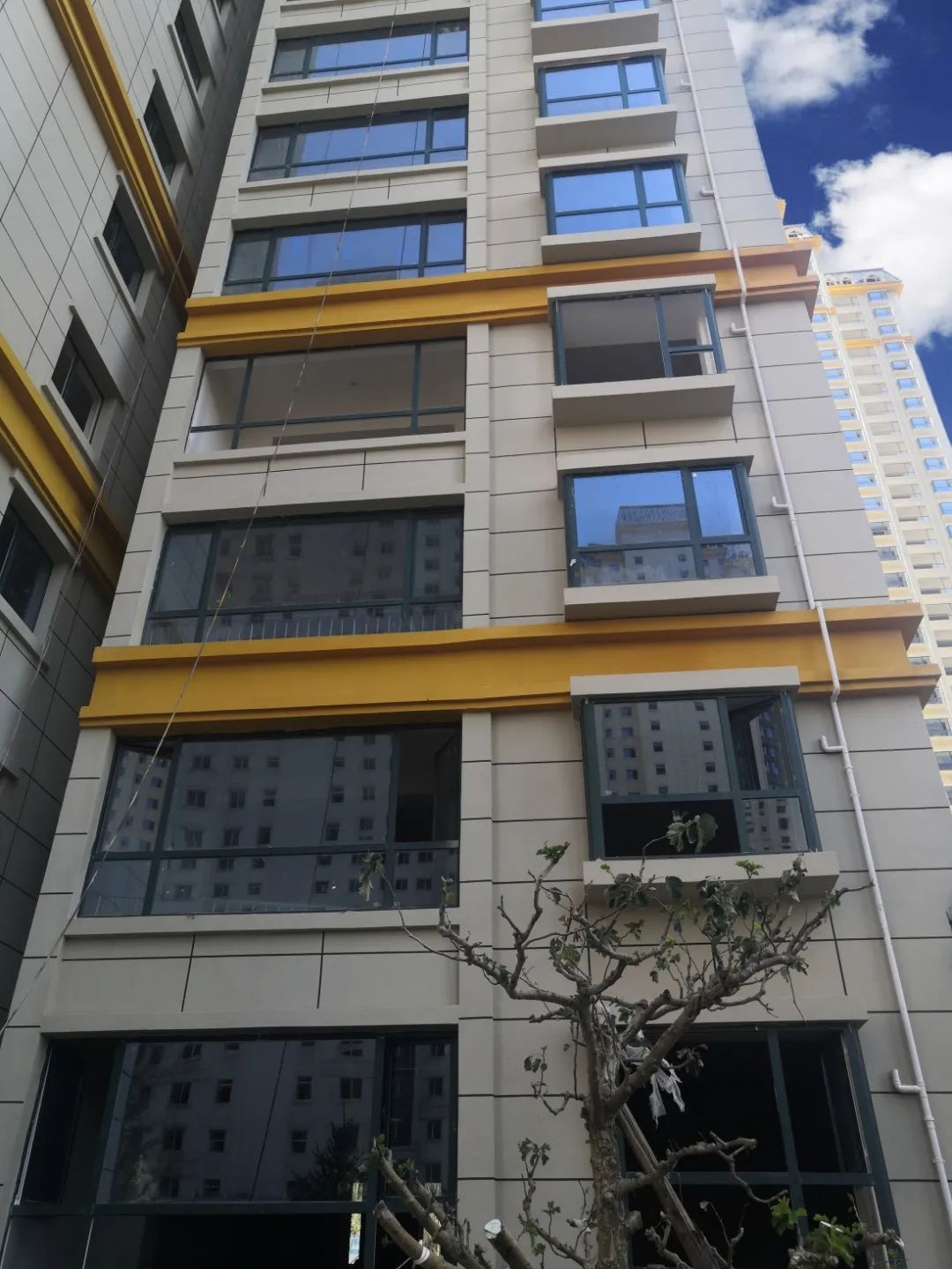 1626162161610085.jpg 1626162161610085.jpg