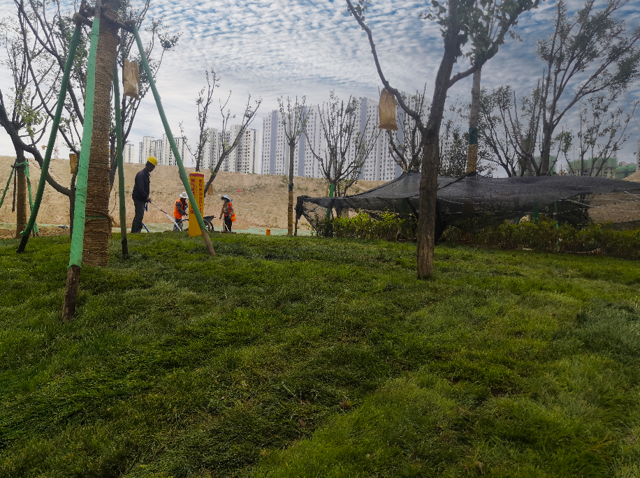 1626768488700247.png 1626768488700247.png