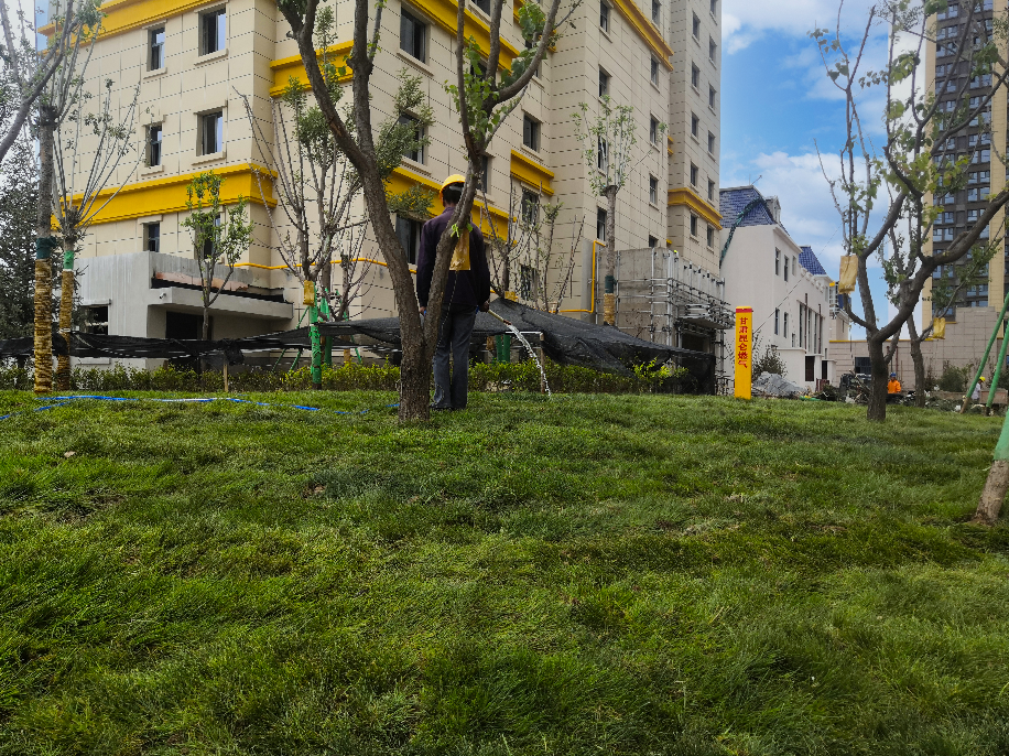 1626768500618477.png 1626768500618477.png