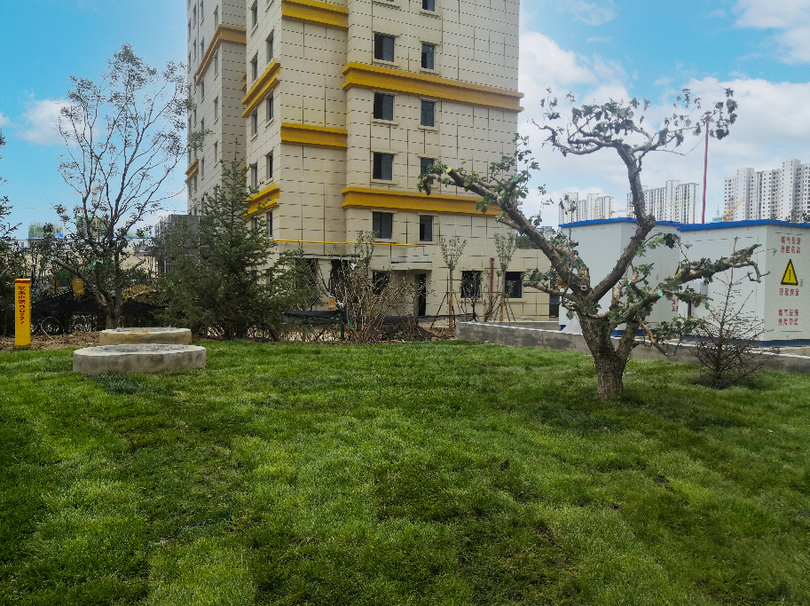 1626768561535918.png 1626768561535918.png